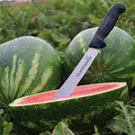 Hybrid Triploid (Seedless) Crimson Sweet Rind Watermelon - Embasy SuperSeedless