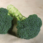 Hybrid Broccoli - Emerald Crown