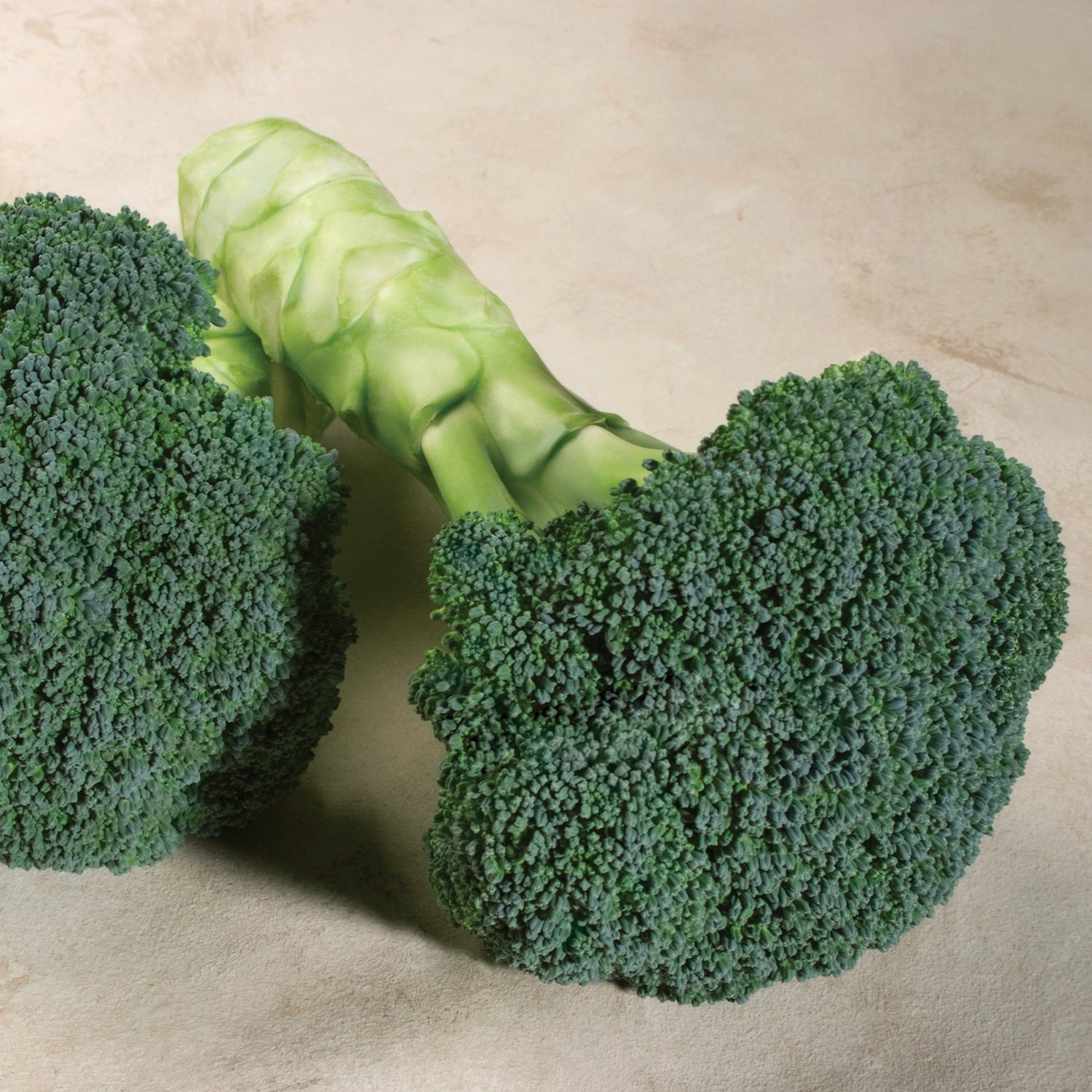 Hybrid Broccoli - Emerald Crown
