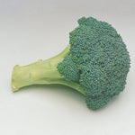 Hybrid Broccoli - Everest