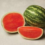 Hybrid Triploid (Seedless) Crimson Sweet Rind Watermelon - Exclamation