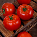 Hybrid Round Red Tomato - Firebird