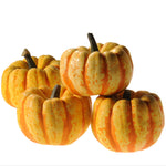 Hybrid Mini Pumpkin - Flame