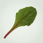 OP Red Swiss Chard - Fluence