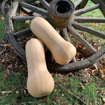 Hybrid Butternut Squash - Genesis