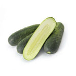 Hybrid Pickling Cucumber - Gershwin RZ