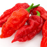 OP Bhut Jolokia Pepper - Ghost