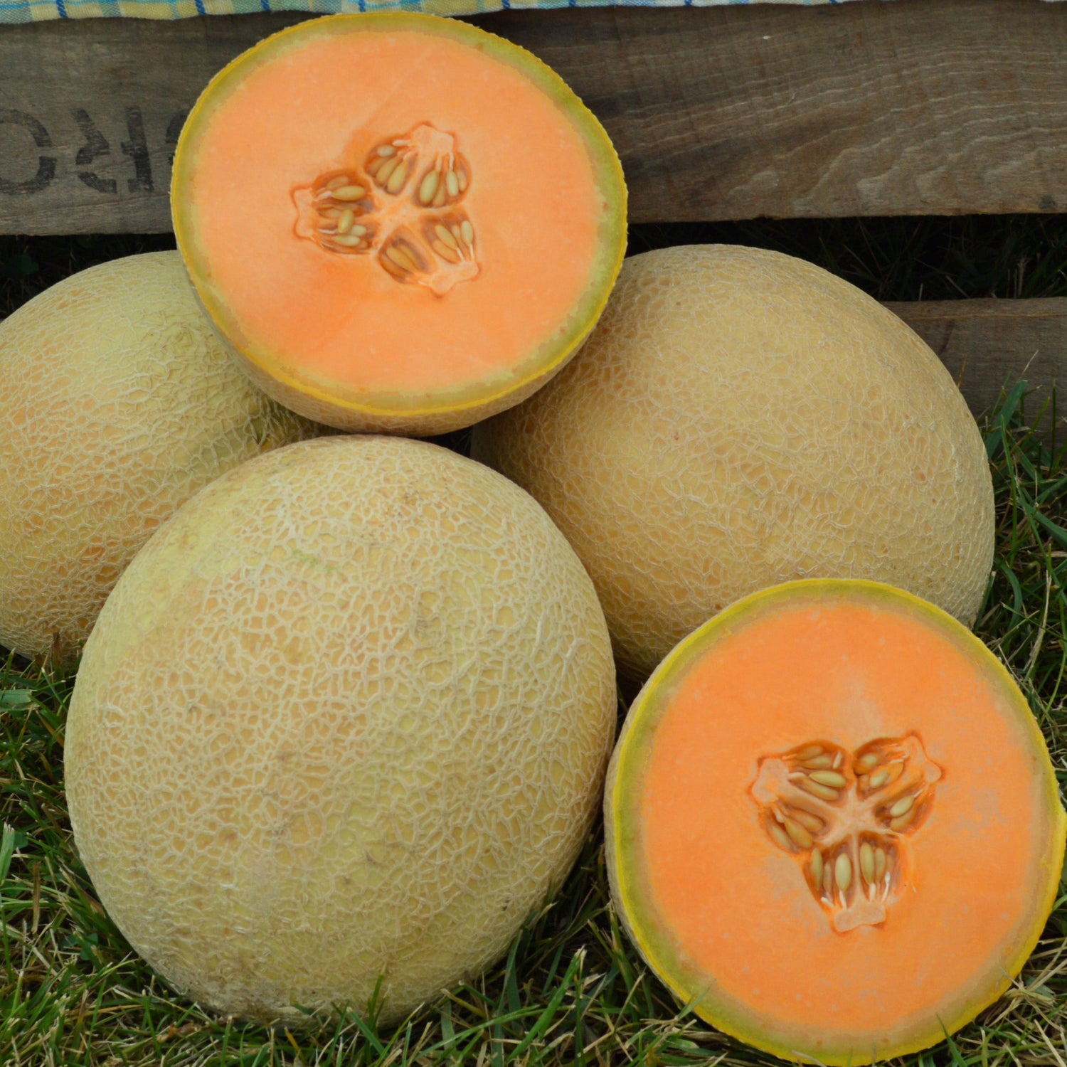 Melons with one cut open, displayed on grass with a wooden background