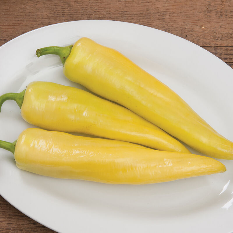 Hybrid Sweet Banana/Hungarian Pepper - Goddess