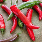 OP Finger Hot Pepper - Golden Heat