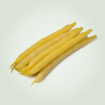 OP Yellow Bush Bean - Golden Goal