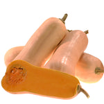 Hybrid Butternut Squash - Granite