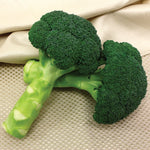 Hybrid Broccoli - Green Magic