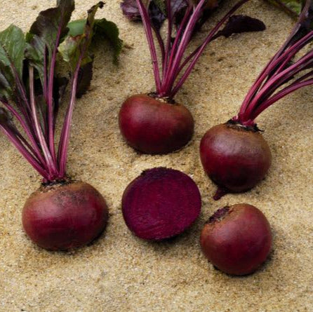 Hybrid Red Beet - Grenade