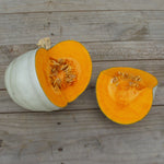 Hybrid Specialty Winter Squash - Grey Ghost