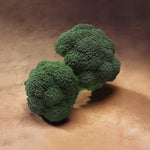 Hybrid Broccoli - Gypsy