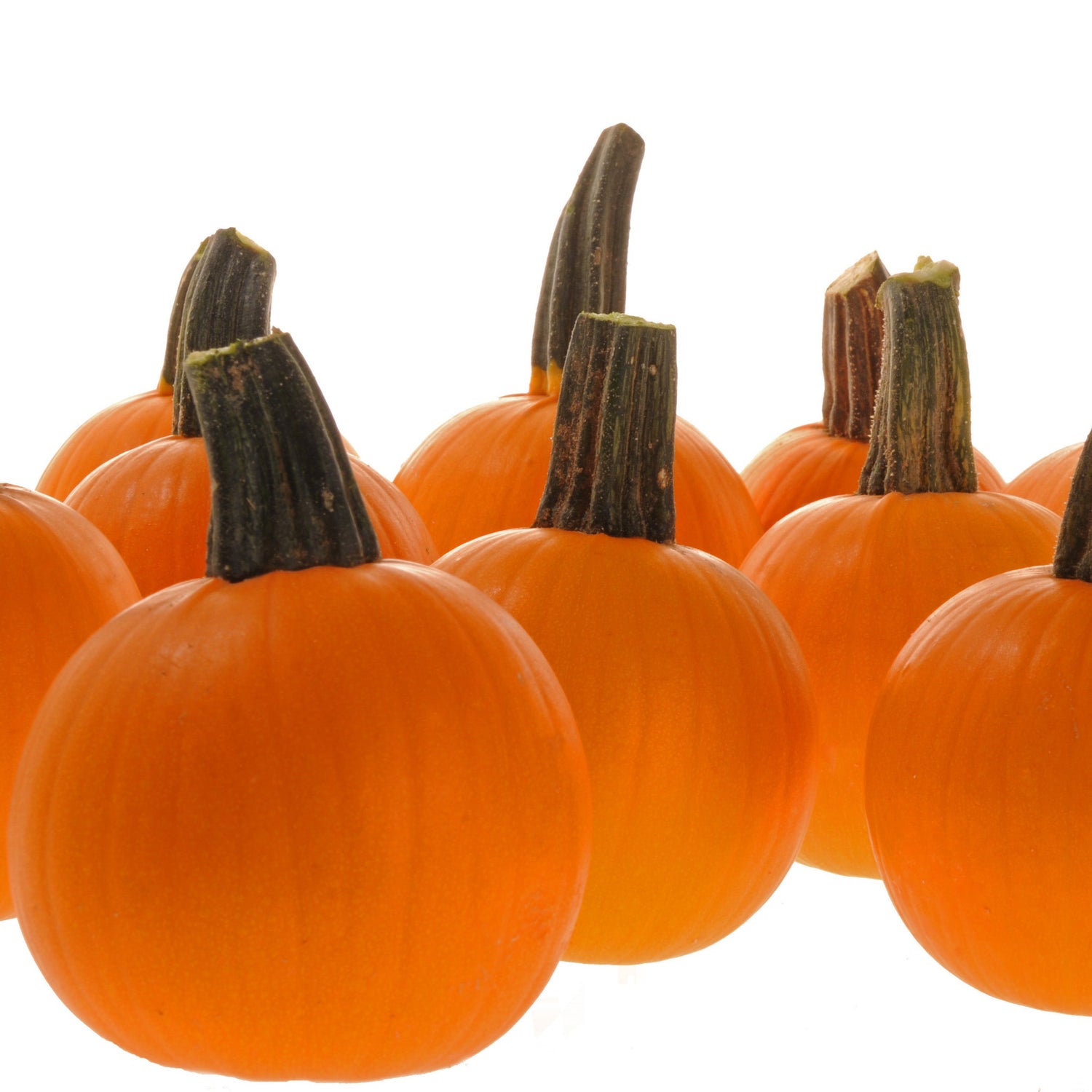 Hybrid Mini Pumpkin - Half Pint