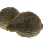 Hybrid Hubbard Squash - Heavenly Hubbard