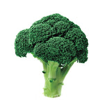Hybrid Broccoli - Heritage