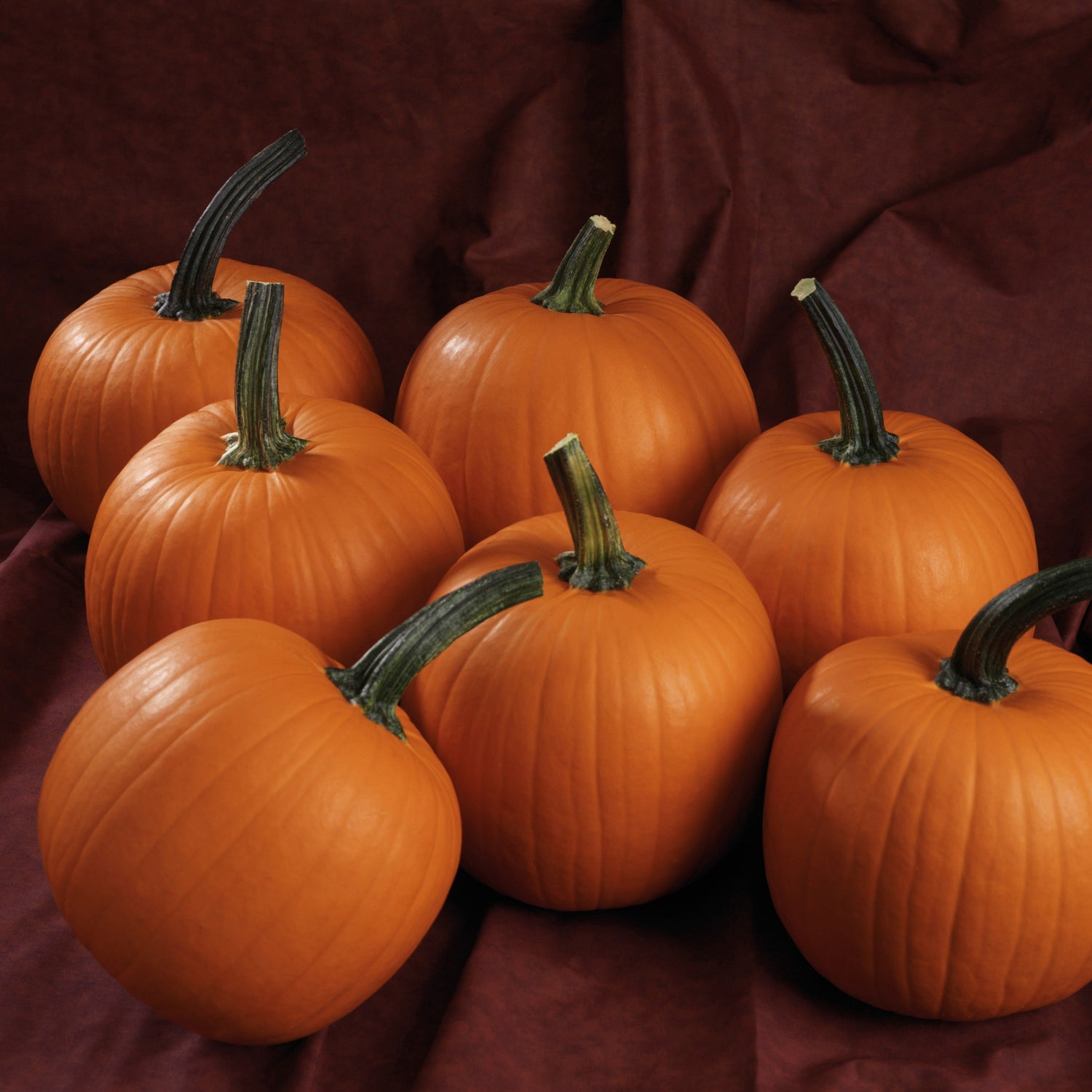 Hybrid Small/Pie Pumpkin - Hijinks
