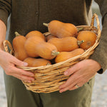 OP Butternut Squash - Honeynut (Mini)