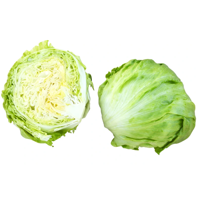 OP Green Iceburg (Crisphead) Lettuce - Independence