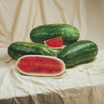 Hybrid Diploid (Seeded) Allsweet Rind Watermelon - Jamboree