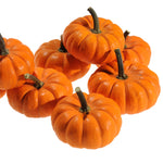 OP Mini Pumpkin - Jill-Be-Little