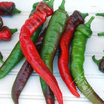 OP Italian Heirloom Pepper - Jimmy Nardello's
