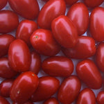 Hybrid Red Grape Tomato - Jolly Girl