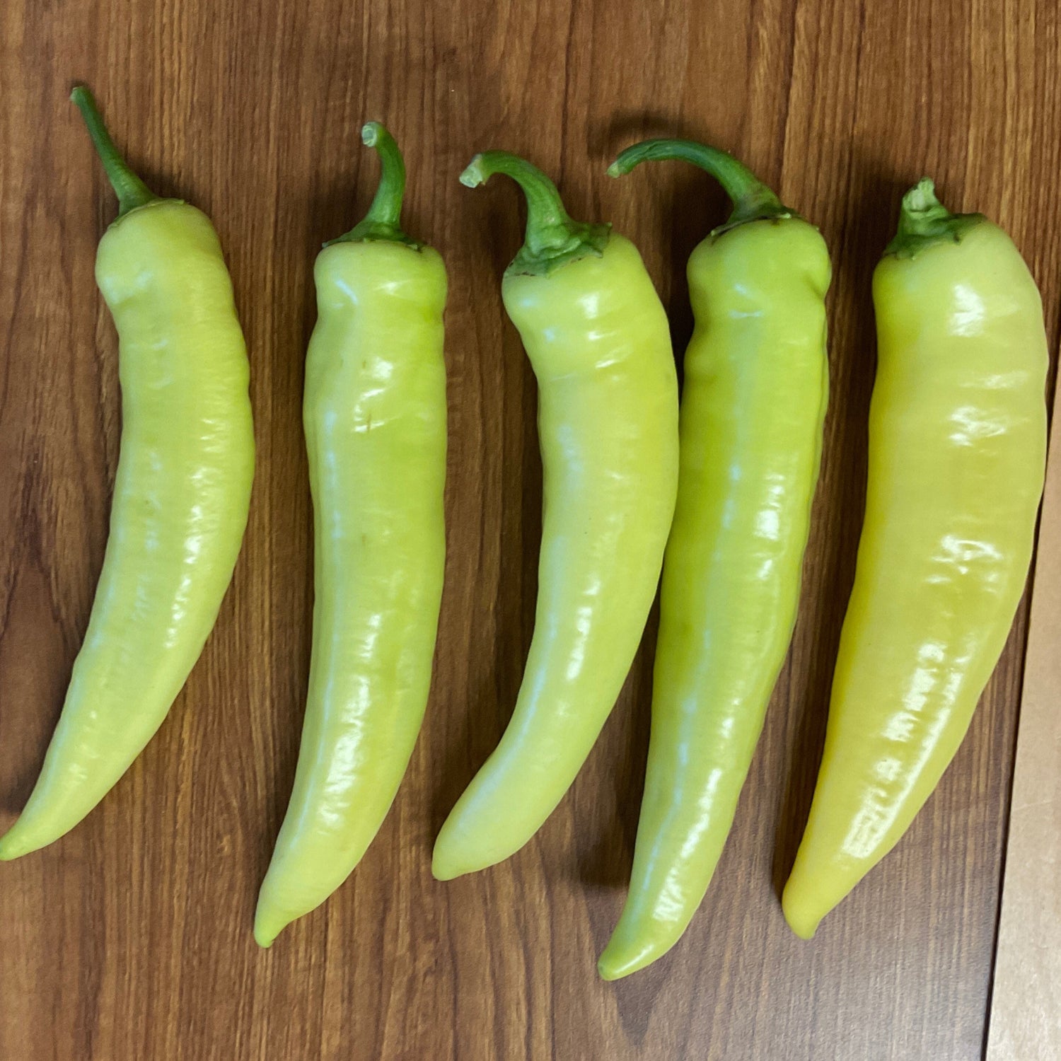 Hybrid Sweet Banana/Hungarian Pepper - Kacheta