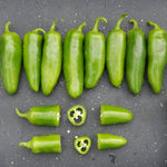 Hybrid No-Heat Jalapeno Pepper - Kandy