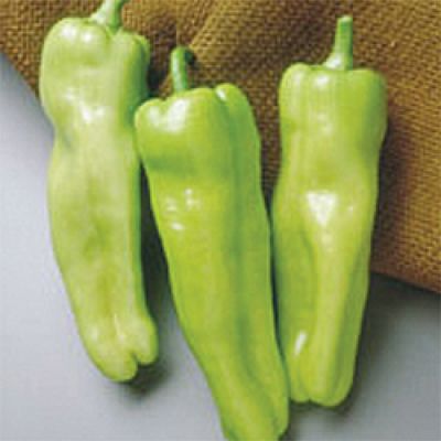 Hybrid Cubanelle Pepper - Key West