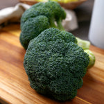 Hybrid Broccoli - Kingdom