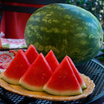 Hybrid Triploid (Seedless) Crimson Sweet Rind Watermelon - Kingman