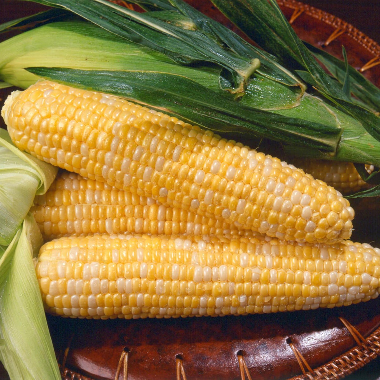 Hybrid Supersweet Bicolor Corn - Kristine
