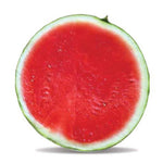 Hybrid Triploid (Seedless) Crimson Sweet Rind Watermelon - LaJoya