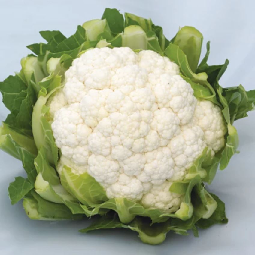 Hybrid White Cauliflower - Lacerta