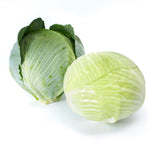 Hybrid Green Storage Cabbage - Lagrima RZ