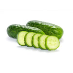 Hybrid Pickling Cucumber - Lennon RZ