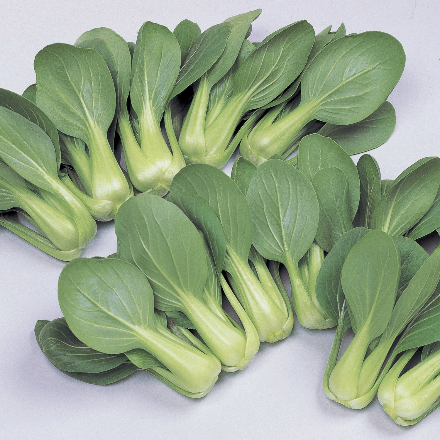 Hybrid Pak Choi - Li Ren Choi