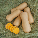 Hybrid Butternut Squash - Lika