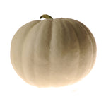 OP White Pumpkin - Lumina