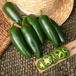 Hybrid Jalapeno Pepper - Mammoth