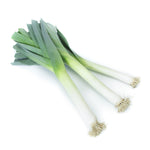 Hybrid Leek - Matejko RZ