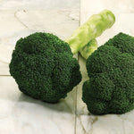Hybrid Broccoli - Maverick