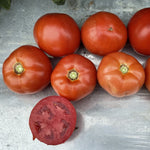 Hybrid Round Red Tomato - Maverick