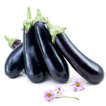 Hybrid Italian Eggplant - Megal