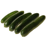 Hybrid Beit Alpha Cucumber - Mercury