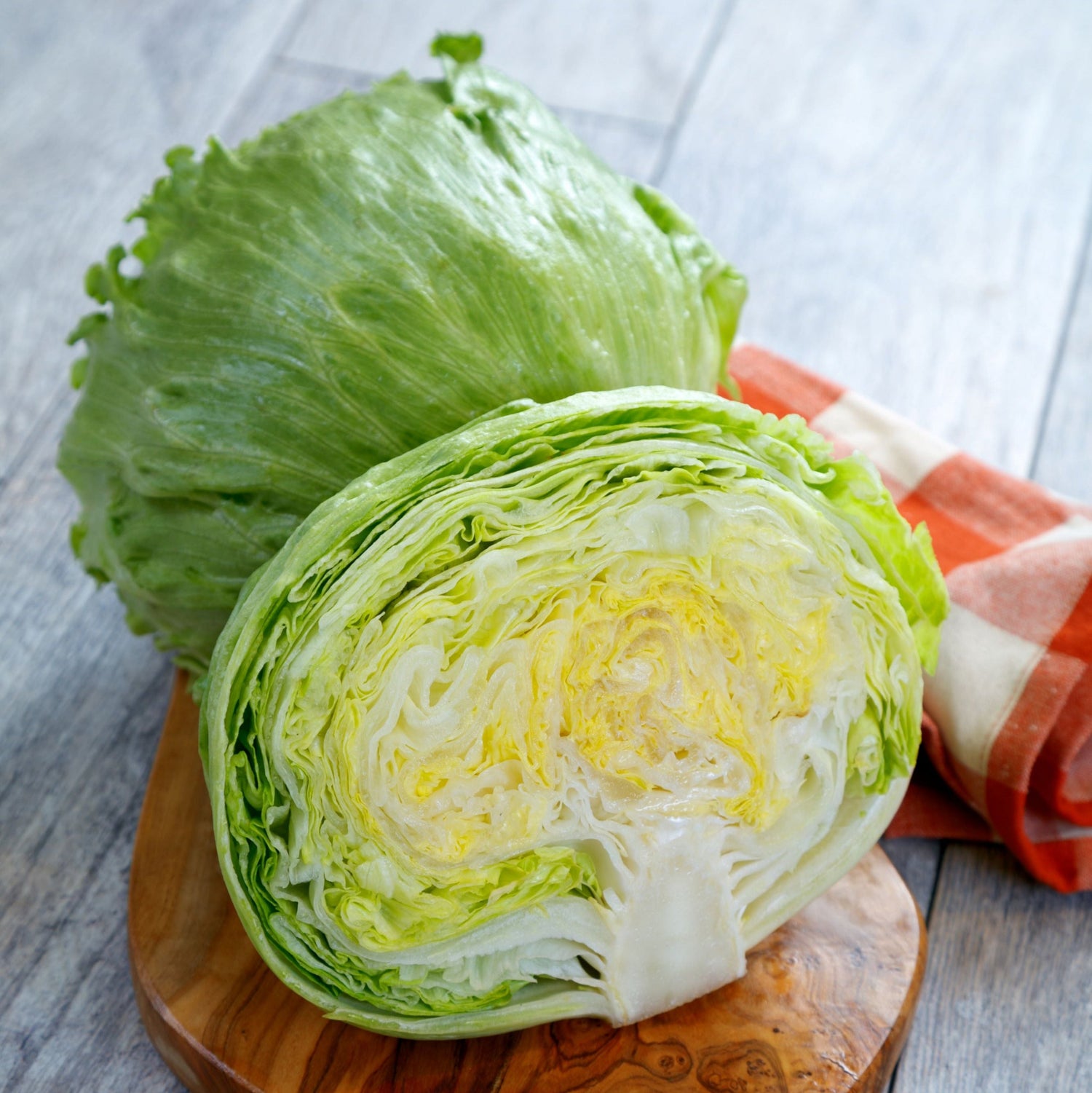 OP Green Iceburg (Crisphead) Lettuce - Meridian